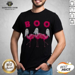 Funny Flamingo Boo Happy Halloween Shirt