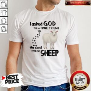 I Asked God For A True Friend So He Sent Me A Sheep Shirt