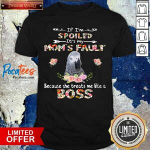 Pretty African Grey If I’m Spoiled It’s My Mom’s Fault Because She Treats Me Like A Boss Shirt