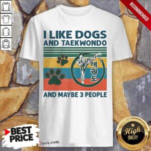 Perfect I Like Dogs And Taekwondo And Maybe 3 People Vintage Shirt