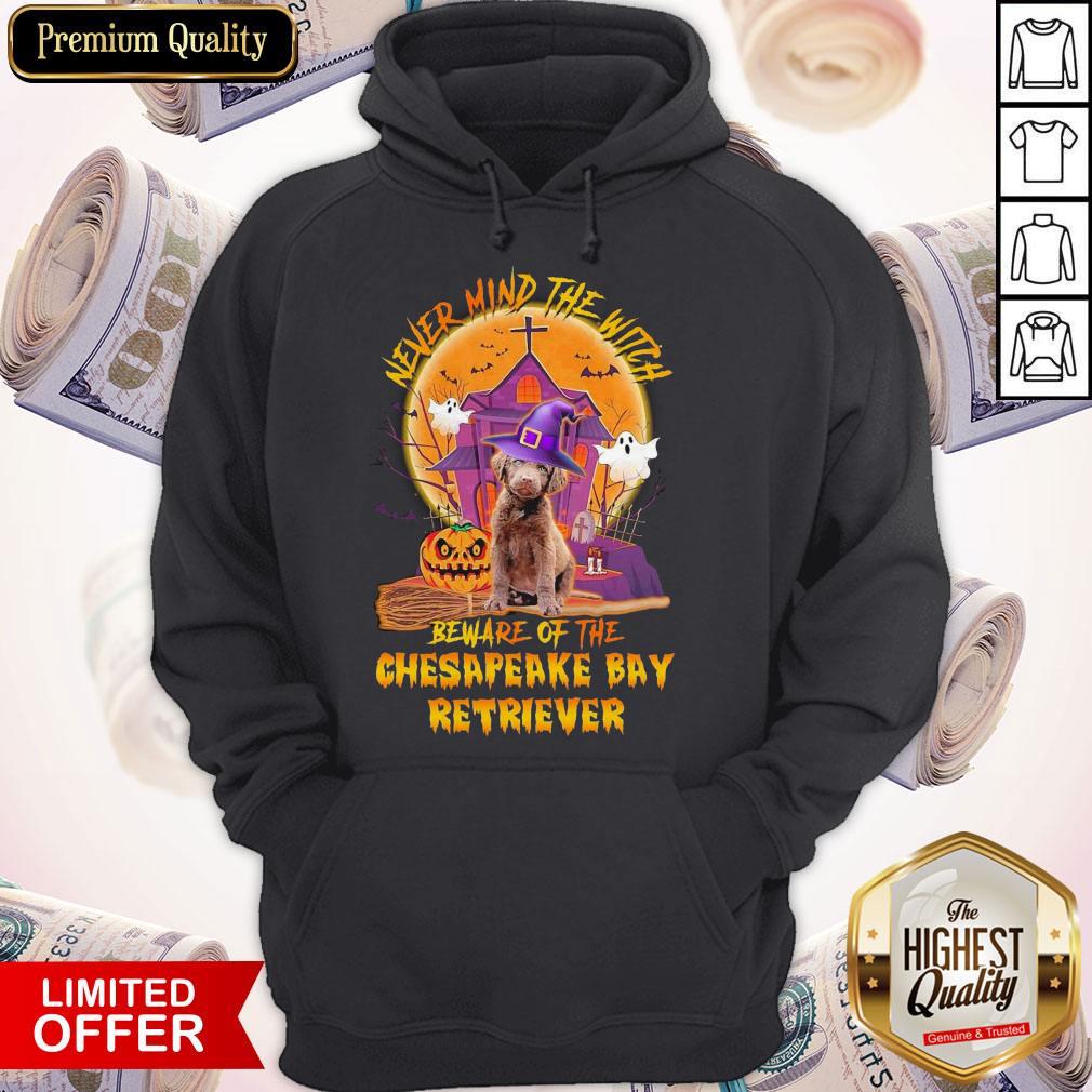 awesome-never-mind-the-witch-beware-of-the-chesapeake-bay-retriever-halloween-hoodie.jpg