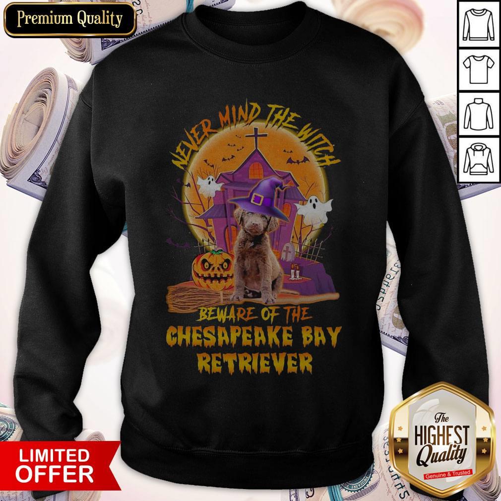 awesome-never-mind-the-witch-beware-of-the-chesapeake-bay-retriever-halloween-sweatshirt.jpg