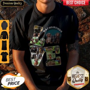 Awesome Love Dachshunds Shirt