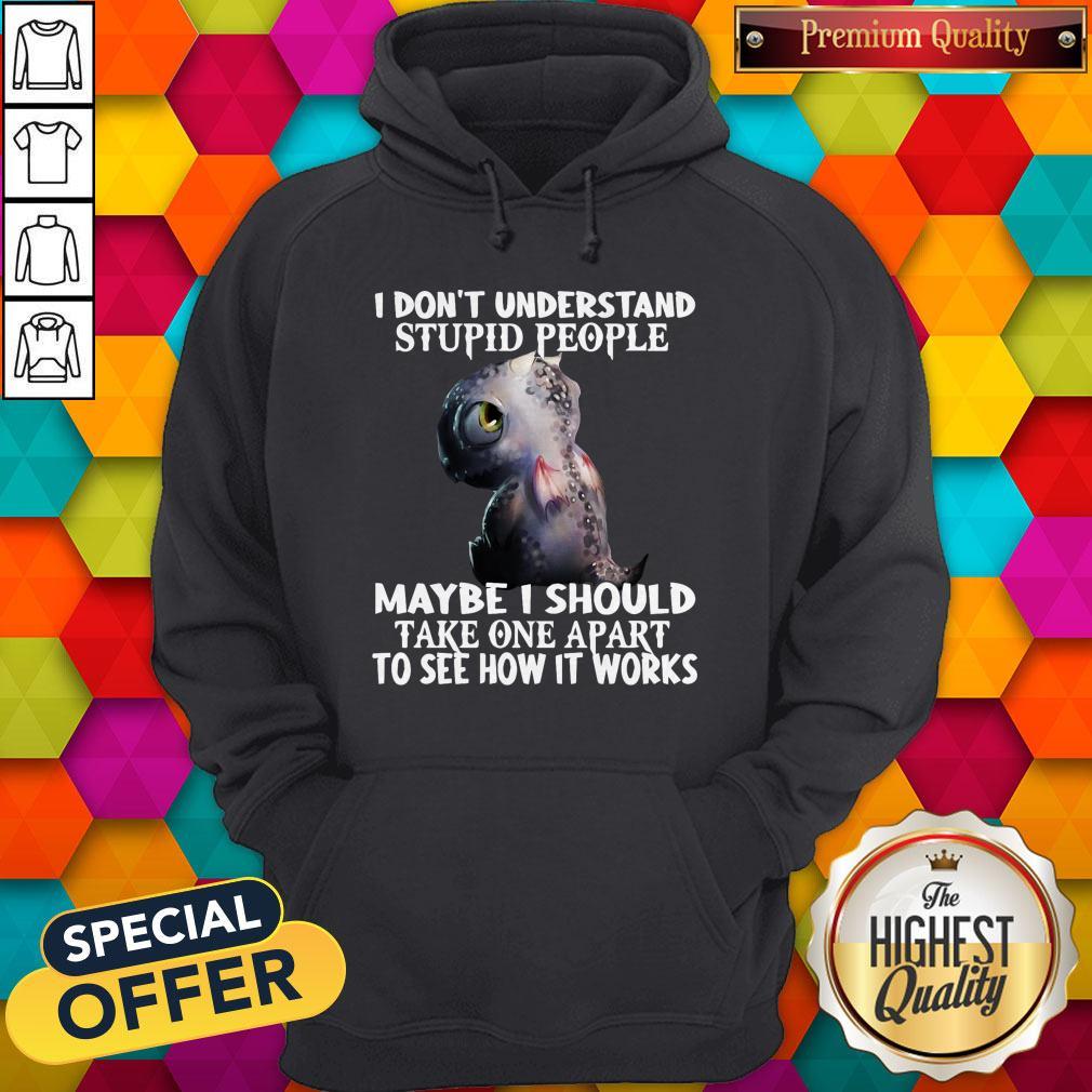 baby-dragon-dont-understand-stupid-people-maybe-i-should-take-one-apart-to-see-how-it-works-hoodie.jpg