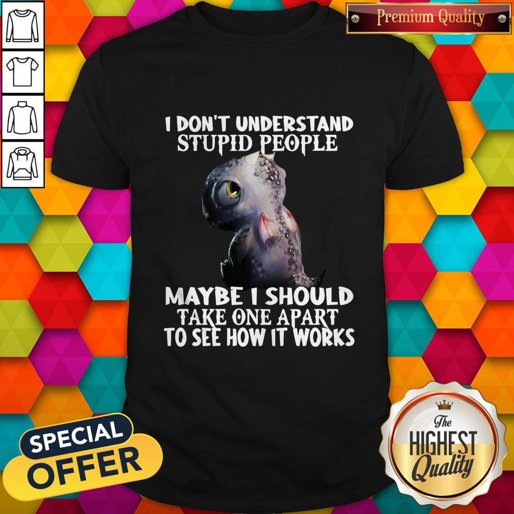 baby-dragon-dont-understand-stupid-people-maybe-i-should-take-one-apart-to-see-how-it-works-shirt.jpg