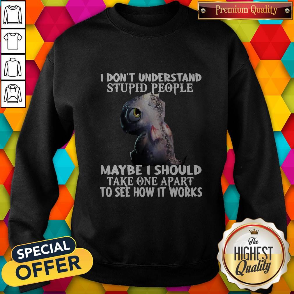 baby-dragon-dont-understand-stupid-people-maybe-i-should-take-one-apart-to-see-how-it-works-sweatshirt.jpg