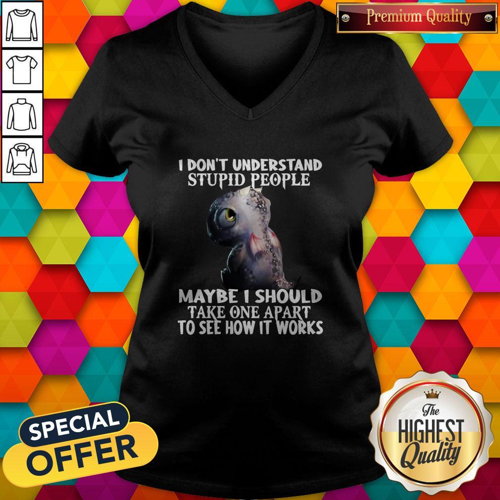 baby-dragon-dont-understand-stupid-people-maybe-i-should-take-one-apart-to-see-how-it-works-v-neck.jpg
