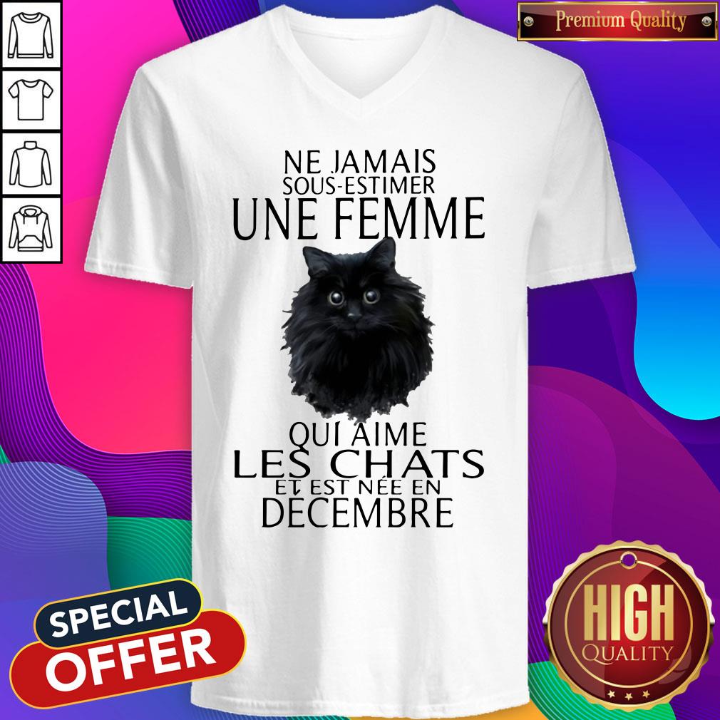 black-cat-ne-jamais-sous-estimer-une-femme-qui-aime-les-chats-et-1est-nee-en-decembre-v-neck.jpg