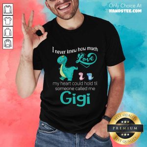 Terrific Saurus I Never Knew How Much Love Gigi Shirt