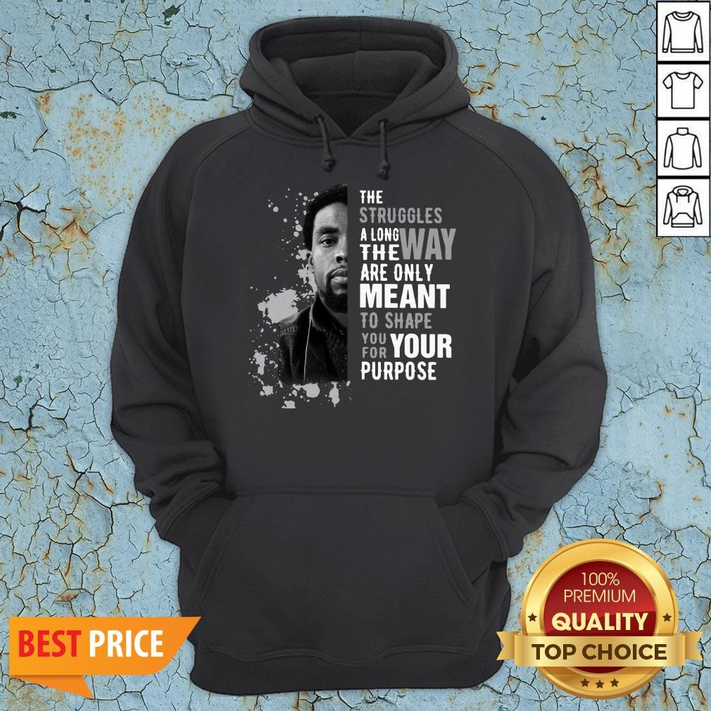 chadwick-boseman-the-struggles-along-the-way-are-only-meant-to-shape-you-for-your-purpose-hoodie.jpg