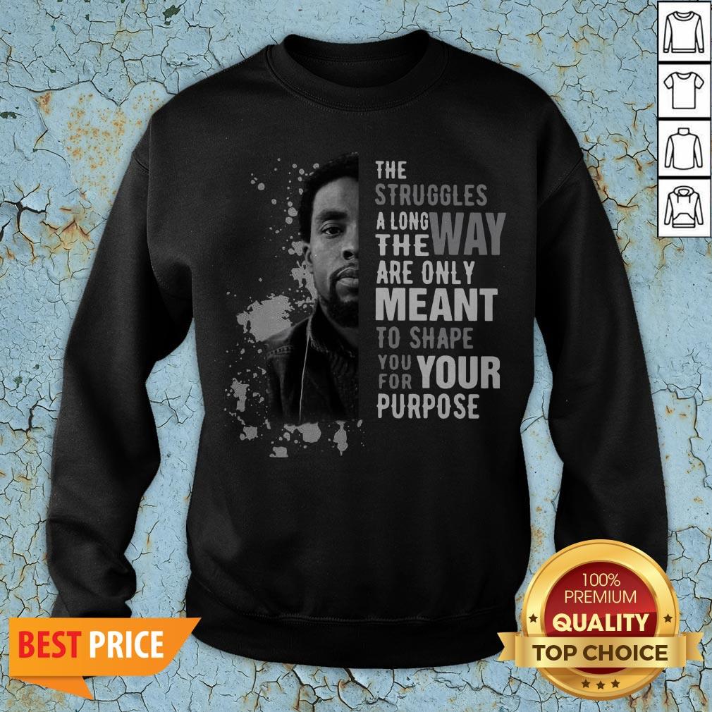 chadwick-boseman-the-struggles-along-the-way-are-only-meant-to-shape-you-for-your-purposweatshirt.jpg