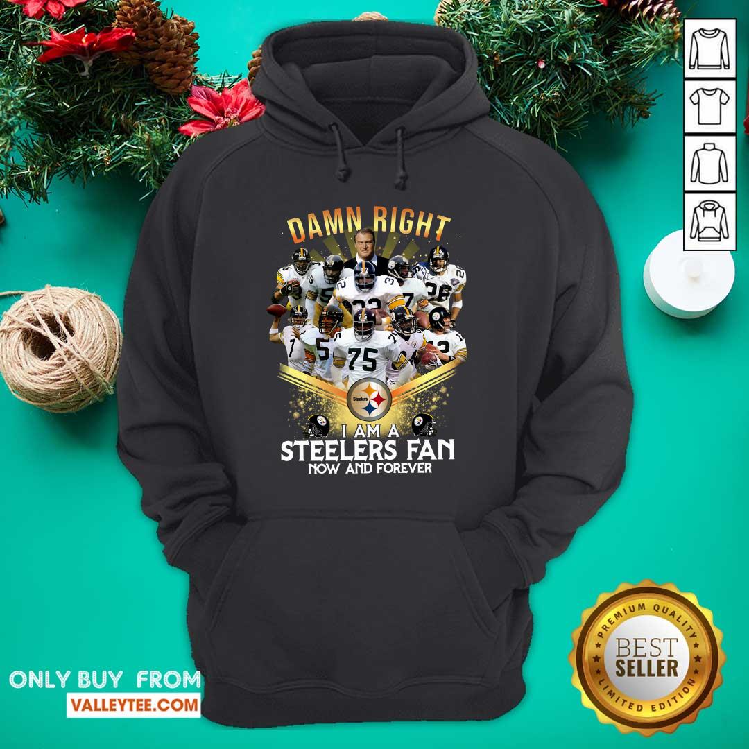 Cool 2020 Damn Right I Am A Steelers Fan Now And Forever Shirt