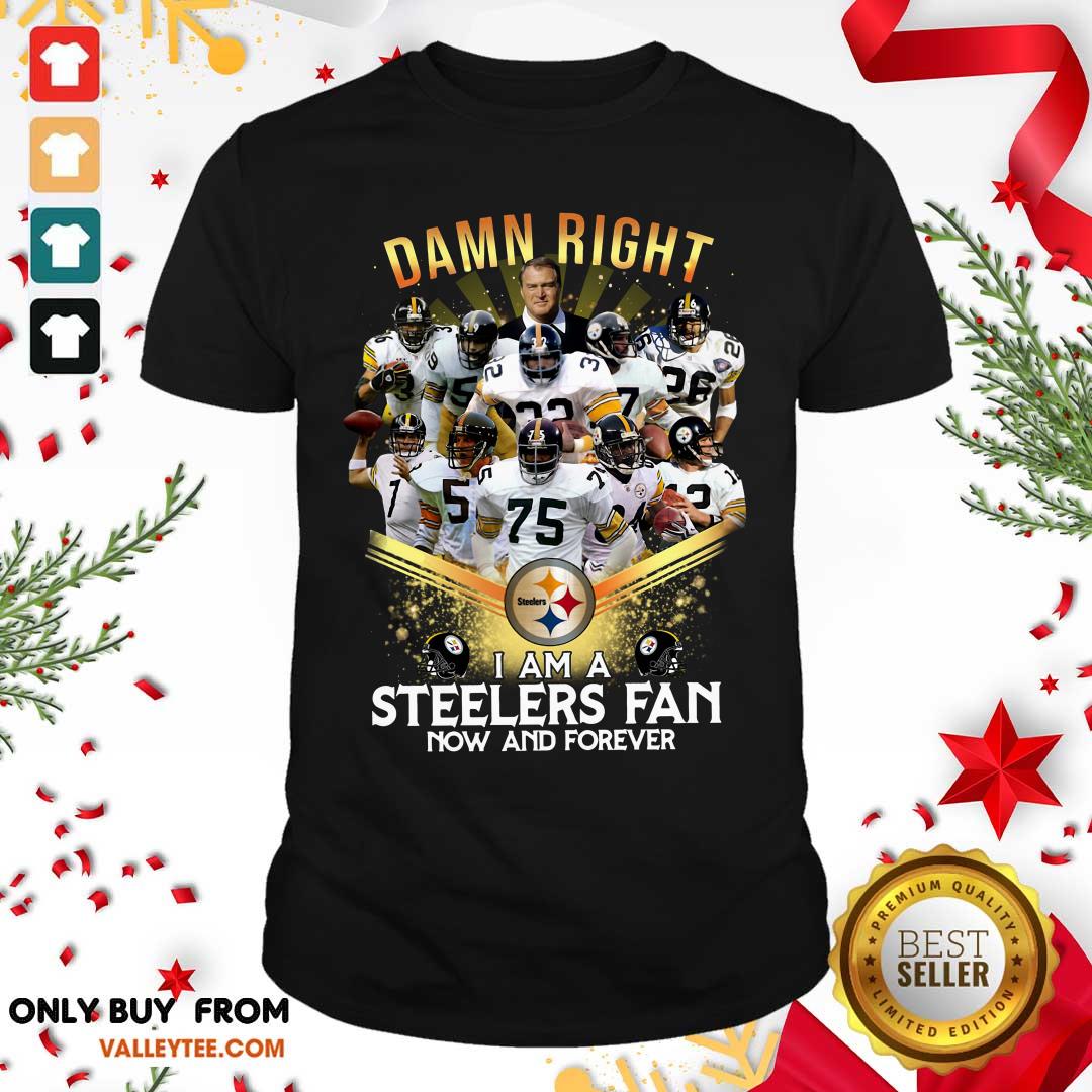 Cool 2020 Damn Right I Am A Steelers Fan Now And Forever Shirt