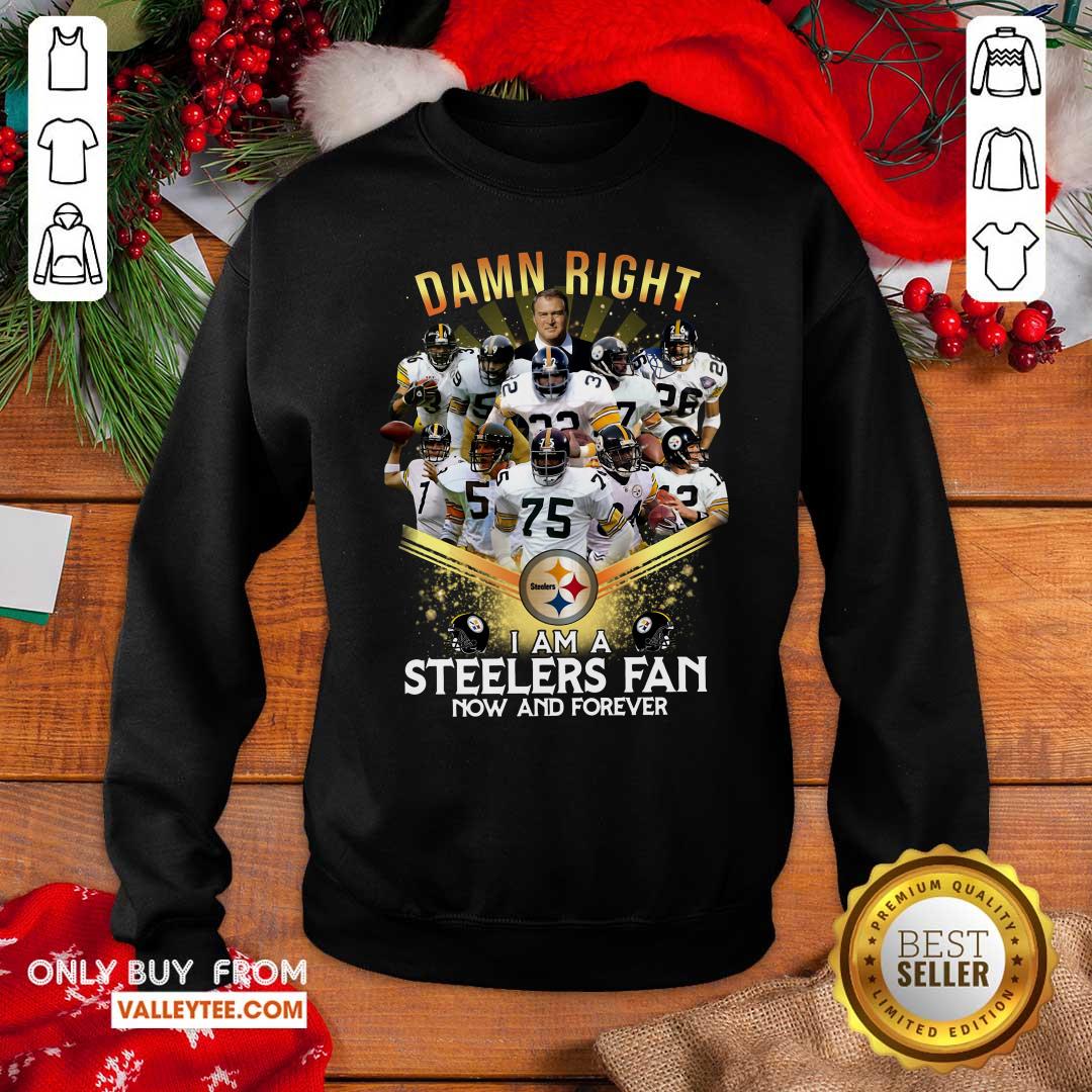 Cool 2020 Damn Right I Am A Steelers Fan Now And Forever Shirt