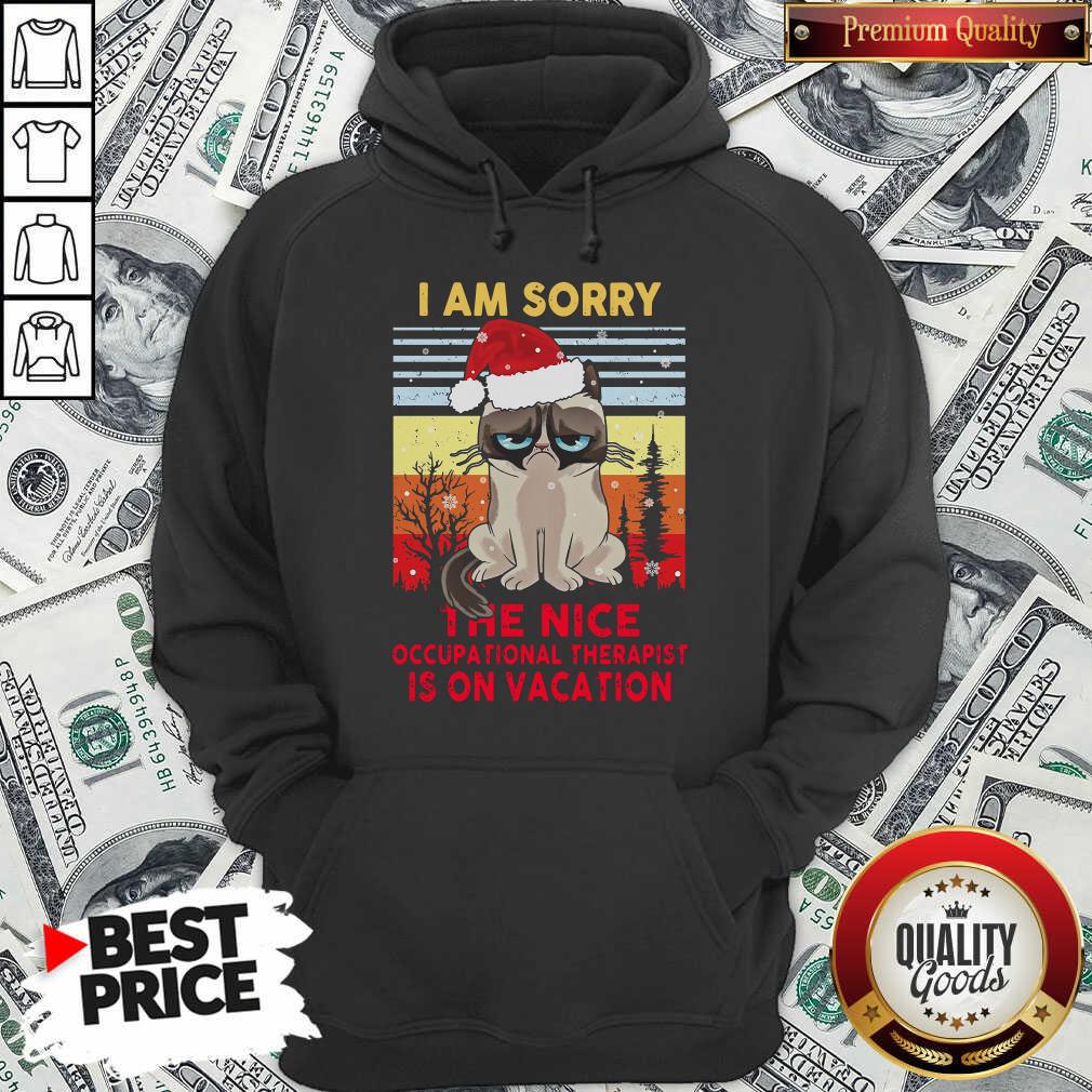 Cute I Am Sorry The Nice Occupational Therapist Is On Vacation Shirt