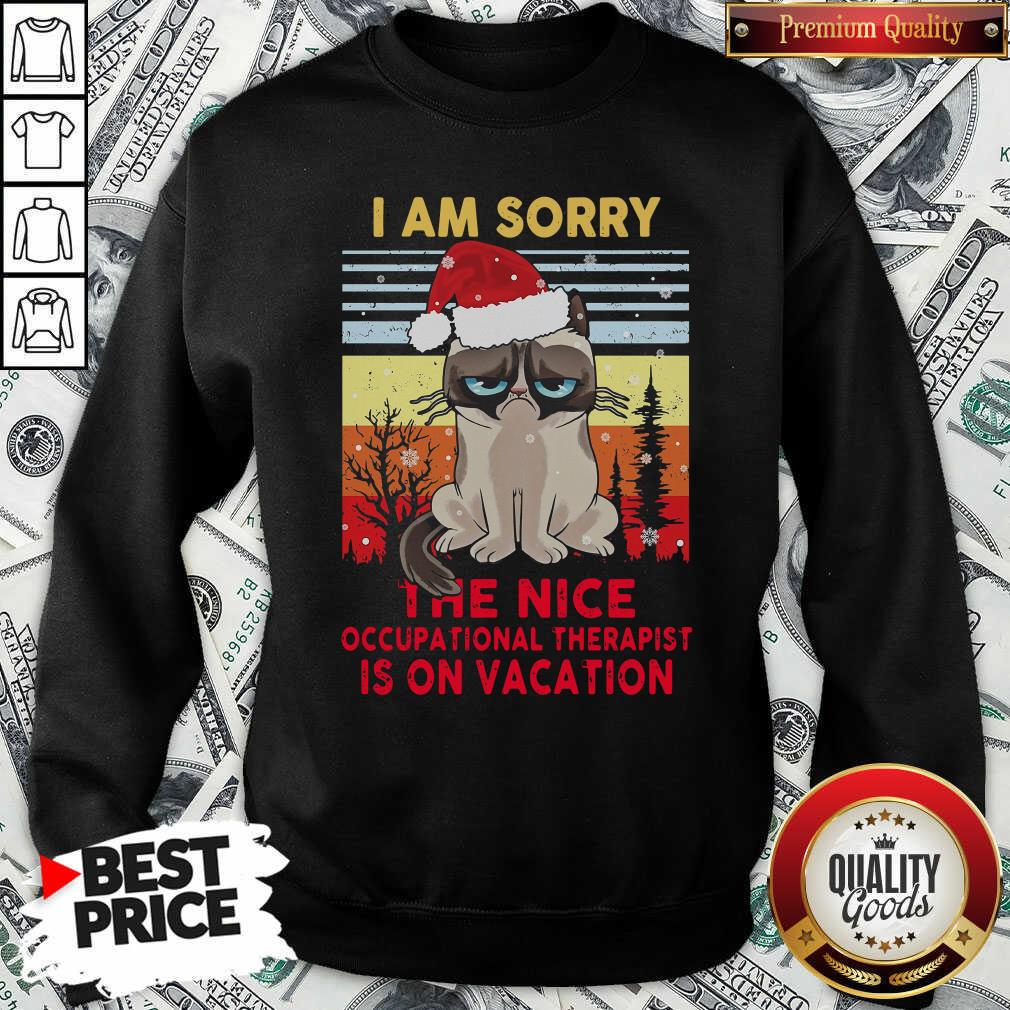 Cute I Am Sorry The Nice Occupational Therapist Is On Vacation Shirt