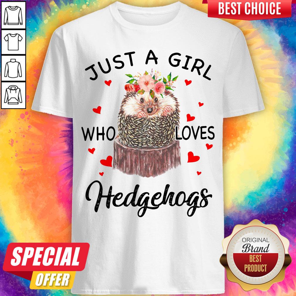 Cute Just A Girl Who Loves Hedgehogs Shirt
