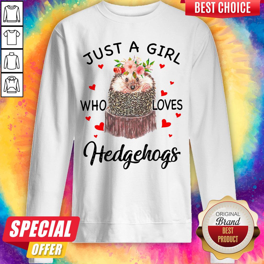 Cute Just A Girl Who Loves Hedgehogs Shirt