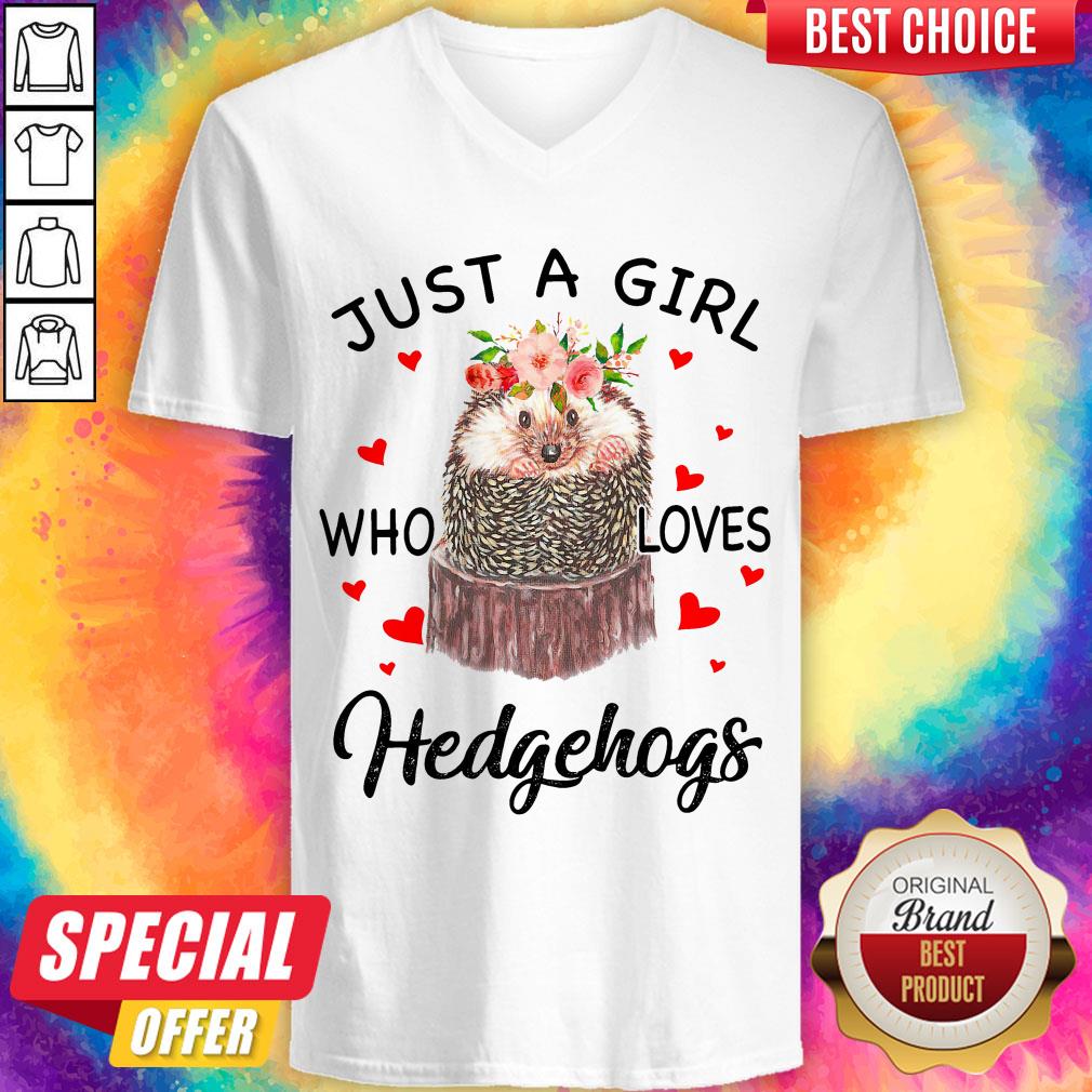 Cute Just A Girl Who Loves Hedgehogs Shirt