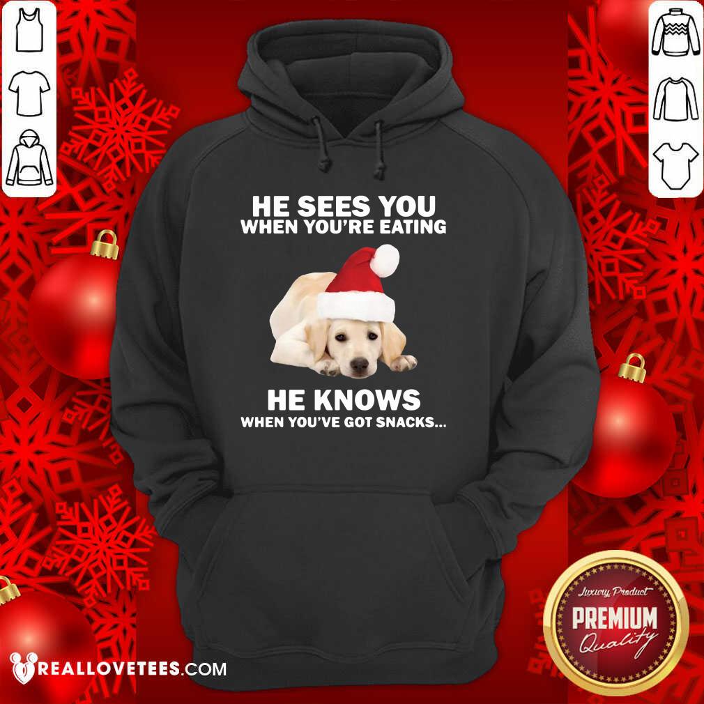 cute-labrador-he-sees-you-when-youre-eating-he-knows-when-youve-got-snacks-christmas-hoodie.jpg
