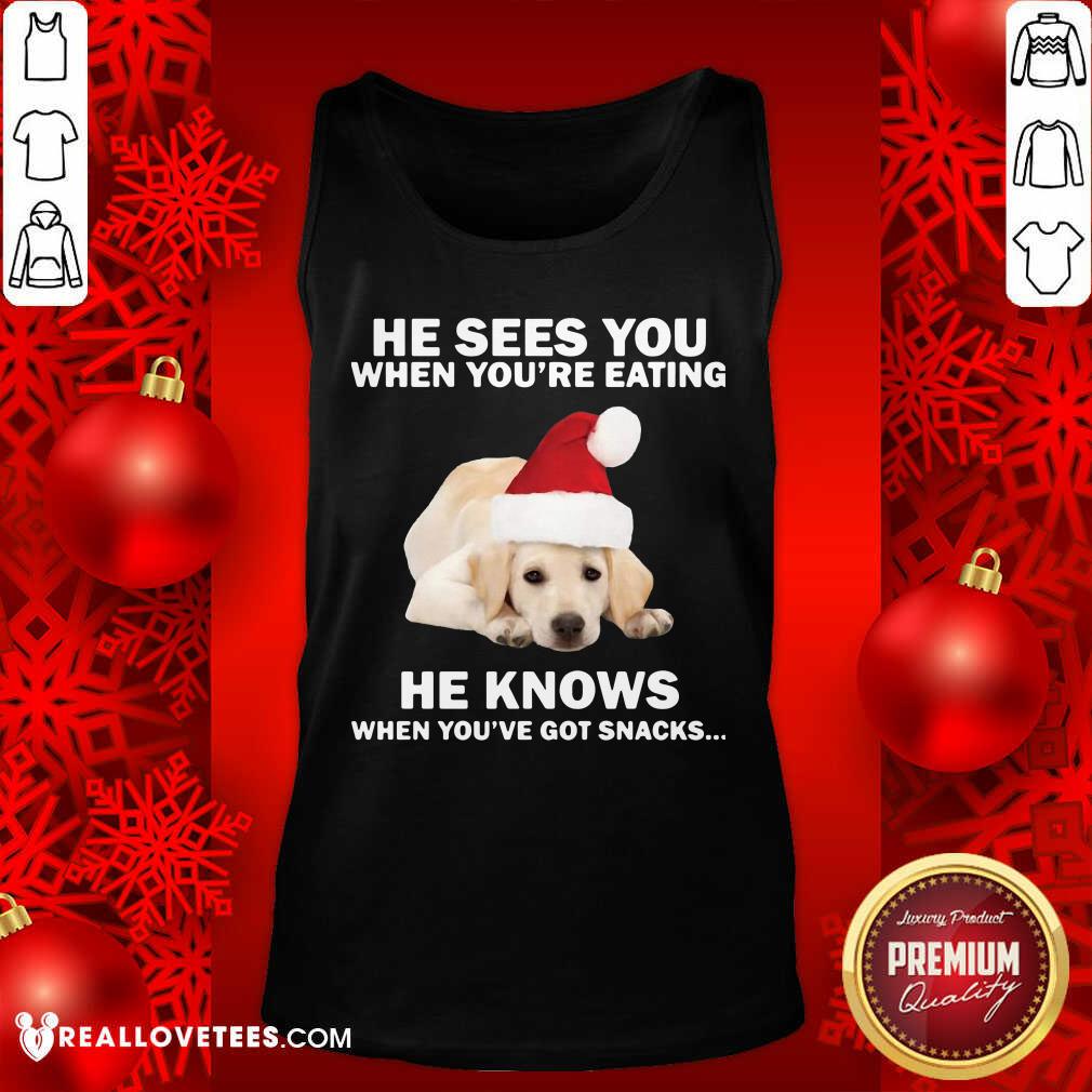cute-labrador-he-sees-you-when-youre-eating-he-knows-when-youve-got-snacks-christmas-tank-top.jpg
