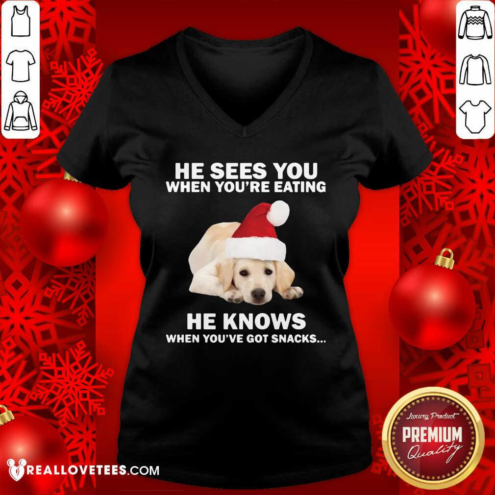 cute-labrador-he-sees-you-when-youre-eating-he-knows-when-youve-got-snacks-christmas-v-neck.jpg