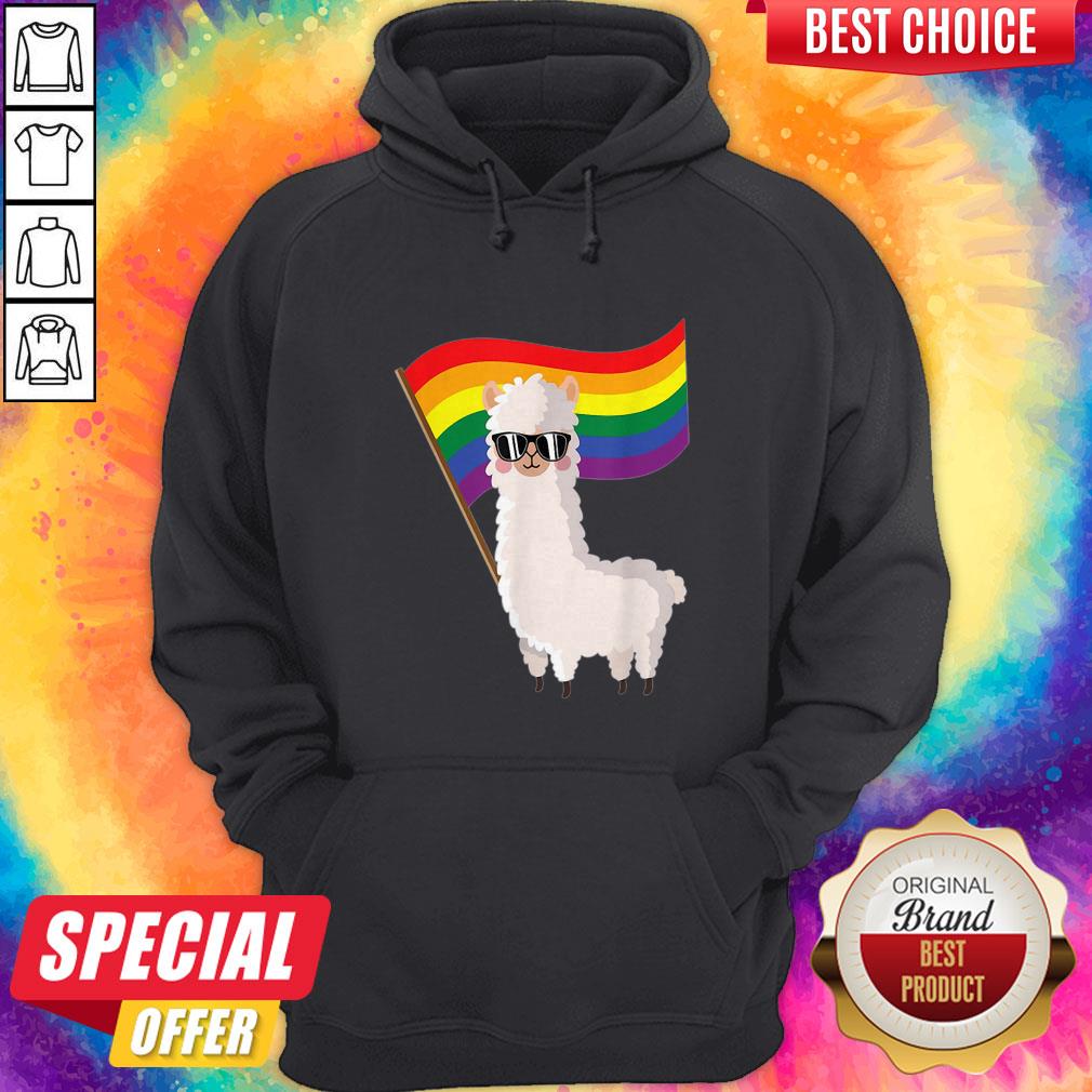Cute Llama Rainbow Flag Lgbtqia Gay Pride Shirt