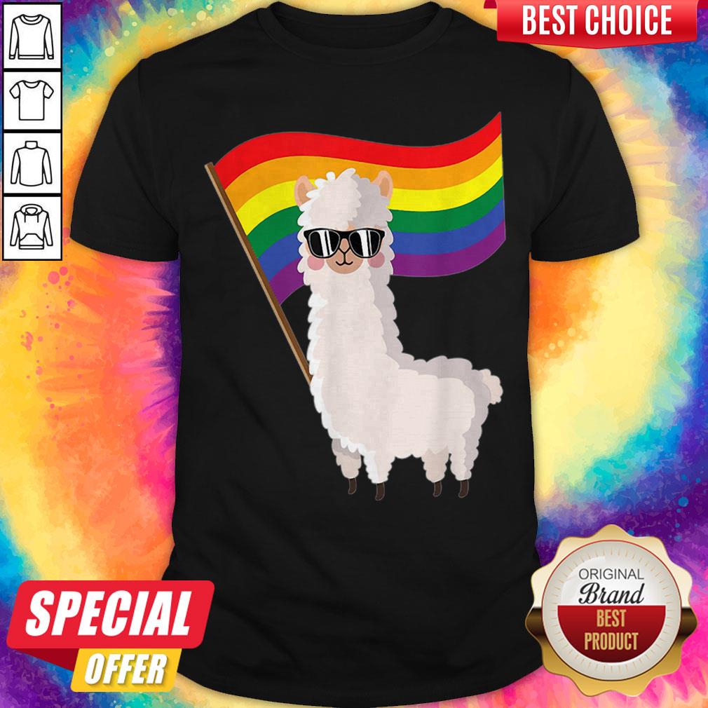 Cute Llama Rainbow Flag Lgbtqia Gay Pride Shirt