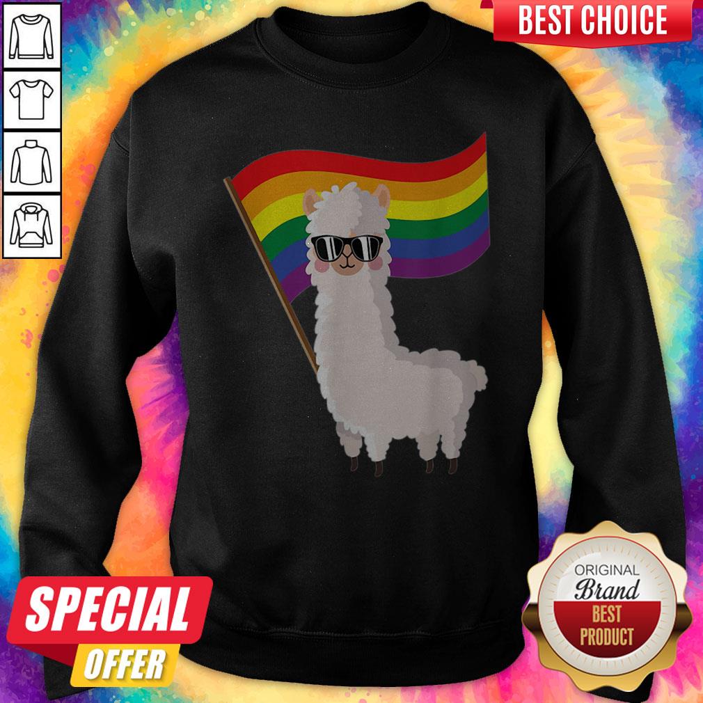 Cute Llama Rainbow Flag Lgbtqia Gay Pride Shirt