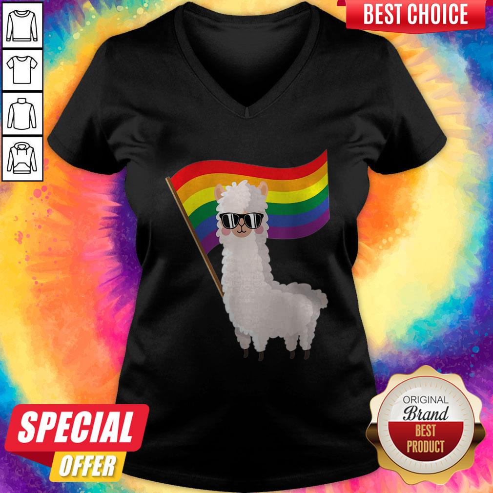 Cute Llama Rainbow Flag Lgbtqia Gay Pride Shirt