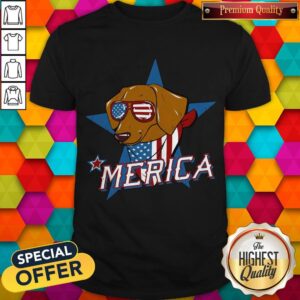 Good Dachshund Merica American Flag Shirt