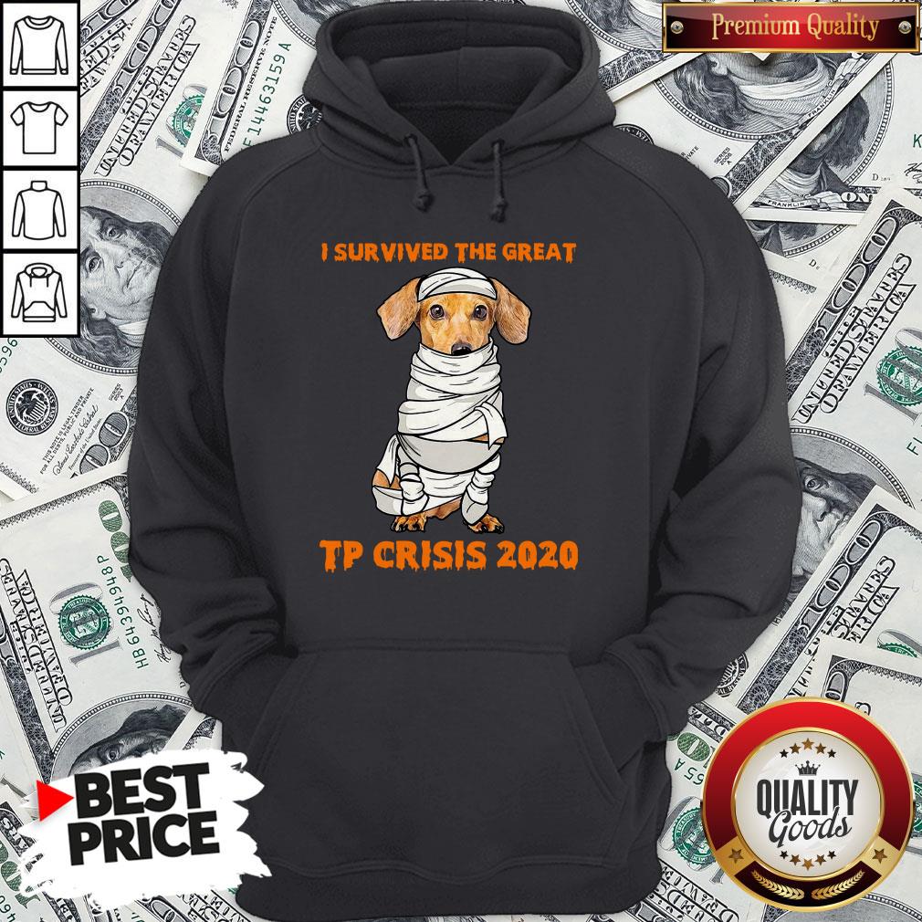 Dachshund Mummies I Survived The Great TP Crisis 2020 Shirt