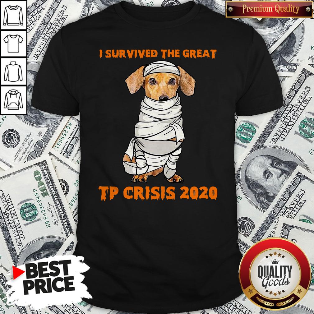 Dachshund Mummies I Survived The Great TP Crisis 2020 Shirt