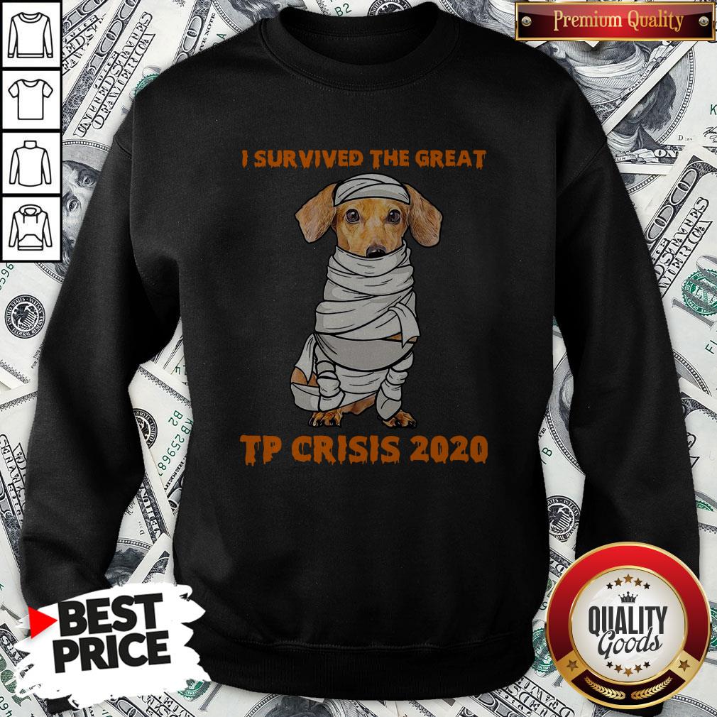 Dachshund Mummies I Survived The Great TP Crisis 2020 Shirt