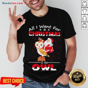 Pretty Santa Claus All I Want For Christmas Is An Owl Sweat Shirt