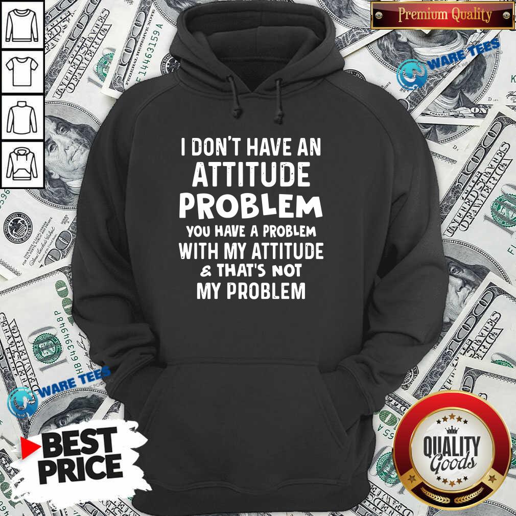 dont-have-an-attitude-problem-you-have-a-problem-with-my-attitude-and-thats-not-my-problem-hoodie.jpg