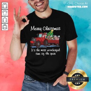 Funny Santa Claus And Animal Merry Christmas It's The Most Wonderful Time Of The Year Shirt