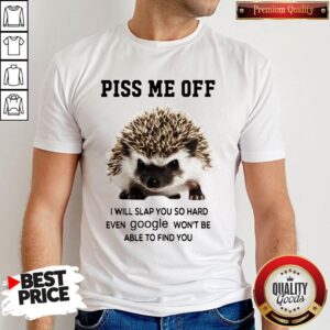 Hedgehog Piss Me Off I Will You So Hard Even Google Won't Be Able To Find You Shirt