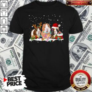 Funny Santa Hamster Reindeer Christmas Shirt