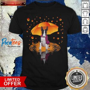 Perfect Umbrella Bull Terrier Dog Shirt