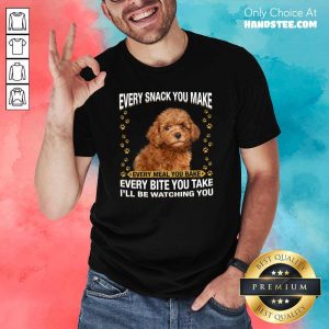 Amused Poodle 6 Every Snack You Make Shirt