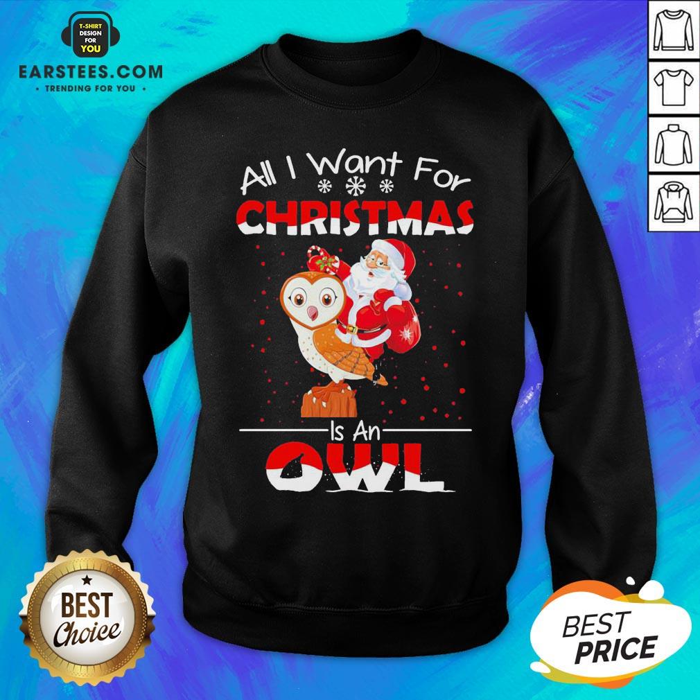 Funny Santa All I Want For Christmas Is An Owl Sweater Shirt