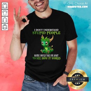 Dragon I Don't Understand Stupid People Shirt