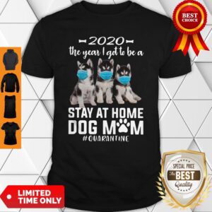 Top 2020 The Year I Got To Be A Stay At Home Husky Sibir Dog Mom Quarantine Shirt