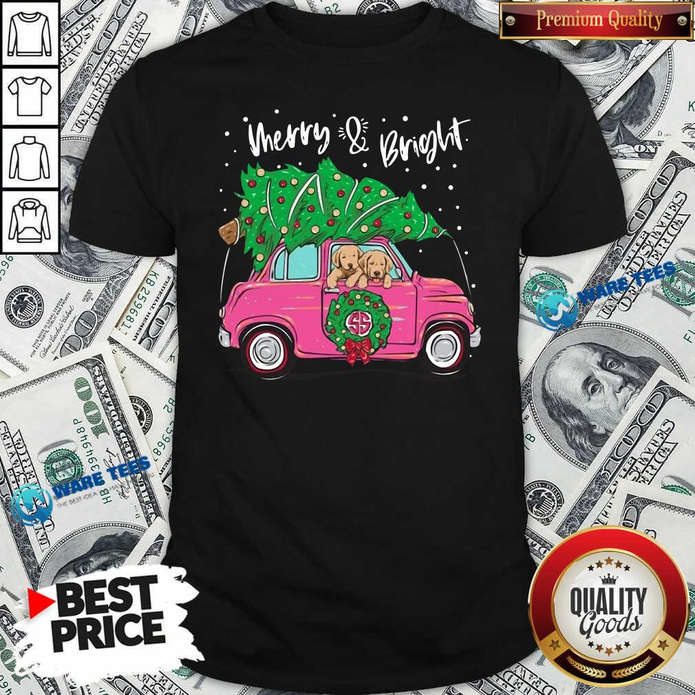 Good Merry And Bright Pitbull Dog Ugly Christmas Shirt