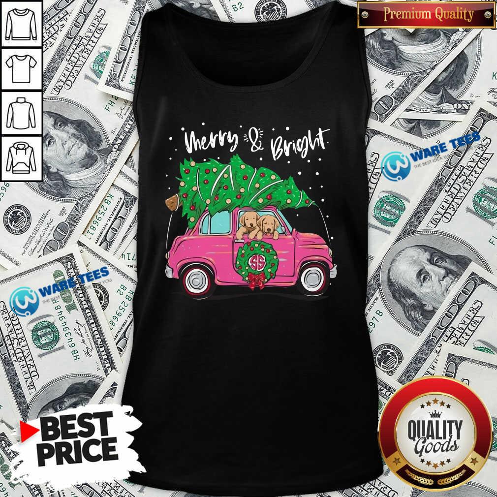 Good Merry And Bright Pitbull Dog Ugly Christmas Shirt