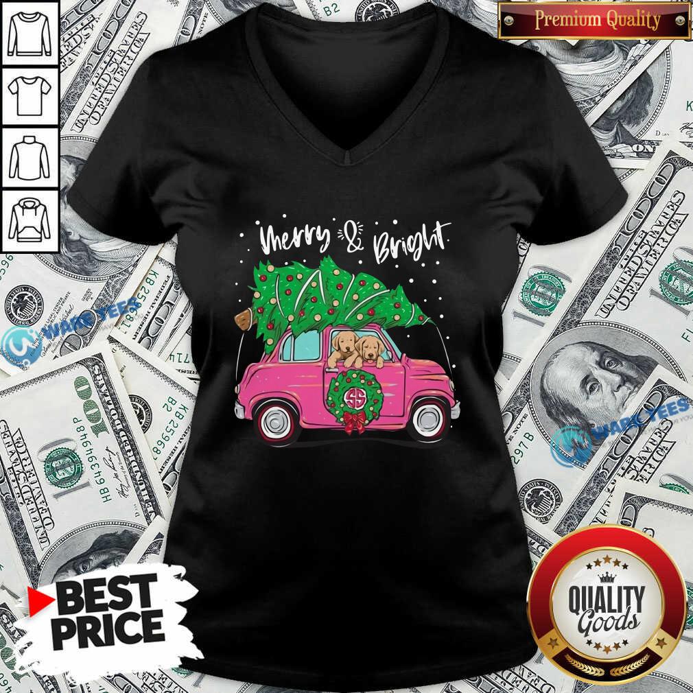 Good Merry And Bright Pitbull Dog Ugly Christmas Shirt