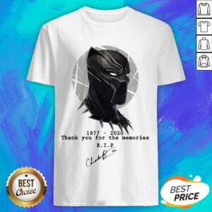 Black Panther Tribute RIP Chadwick Boseman Shirt