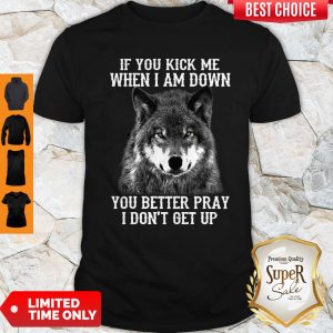 If You Kick Me When I Am Down You Better Pray I Don’t Get Up Dog Shirt