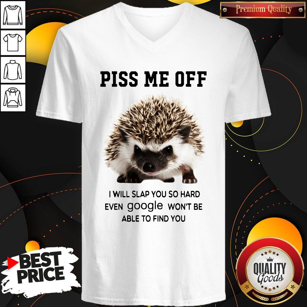 hedgehog-piss-me-off-i-will-you-so-hard-even-google-wont-be-able-to-find-you-v-neck.jpg